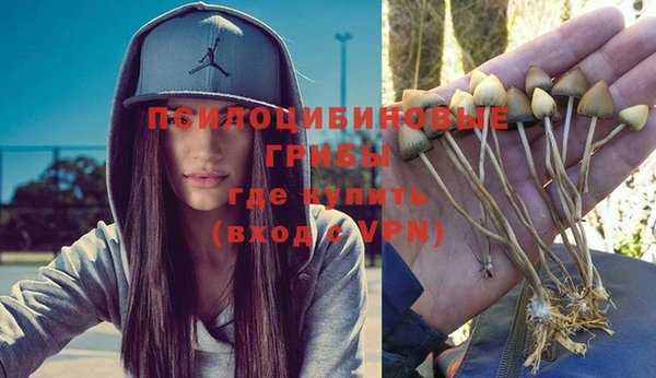 тгк Коряжма