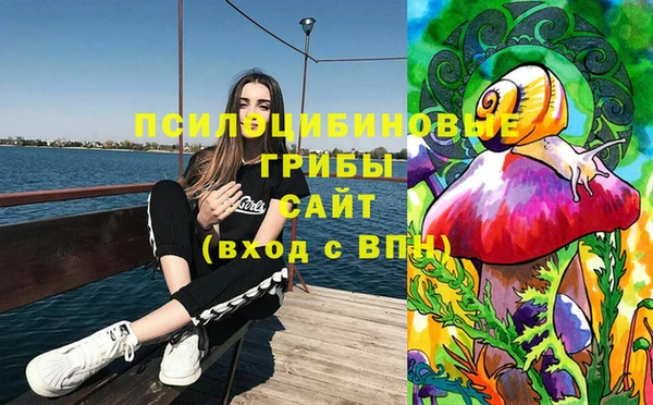 тгк Коряжма