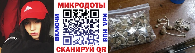 блэк спрут ONION  Дербент  Галлюциногенные грибы ЛСД 