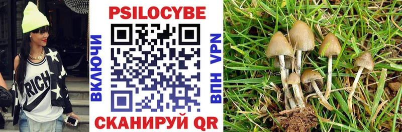 Псилоцибиновые грибы Psilocybine cubensis Дербент